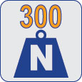 300n